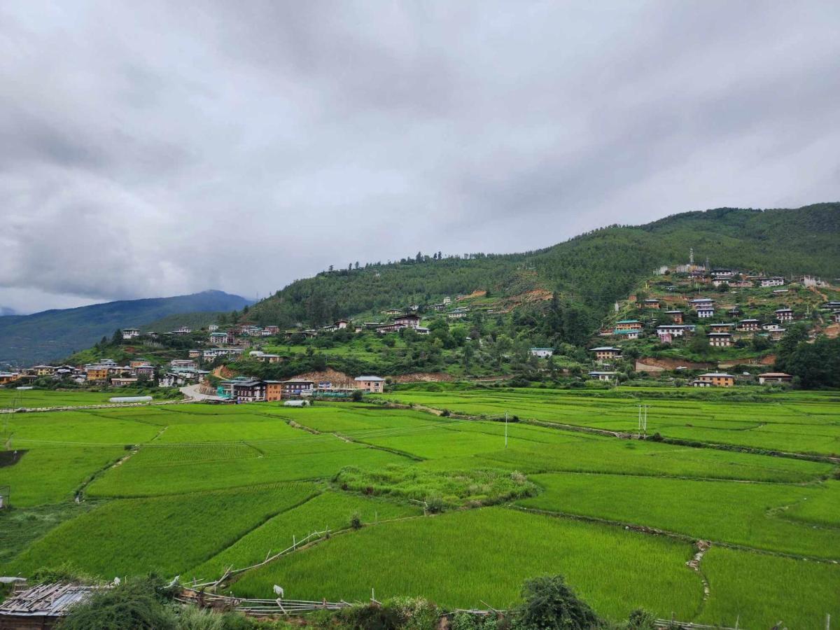 Green Valley Boutique Паро Экстерьер фото